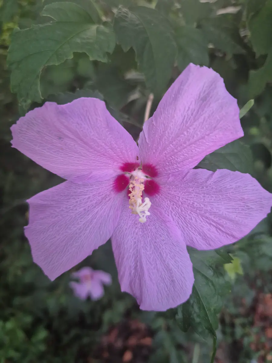 게시물 이미지 1